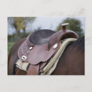 Carte Postale Selle sur un cheval