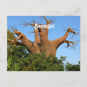 Carte Postale Senegal