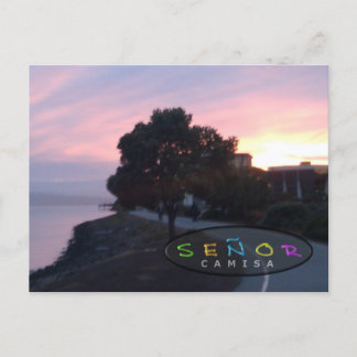 Carte Postale Señor Camisa Creative Sunrise