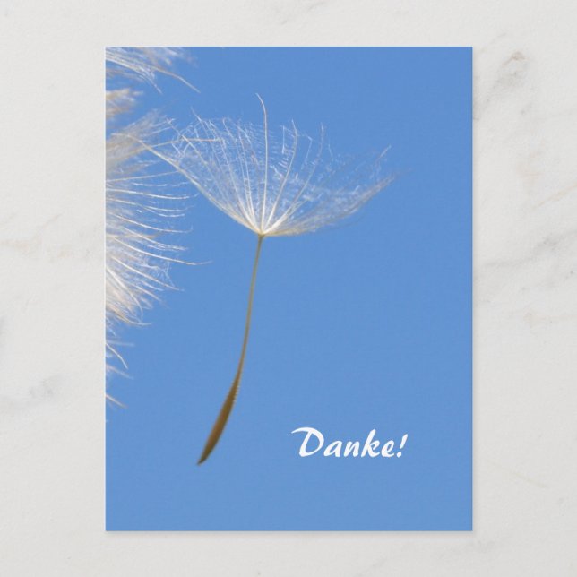 Carte Postale Sentez libre - Flying Dandelion seed (Devant)