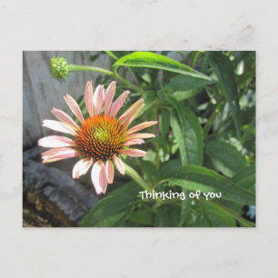 Carte Postale Sentez-vous mieux rose pâle
