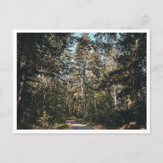Carte Postale Sentier (Devant)