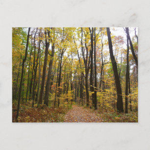 Carte Postale Sentier d'automne et feuilles dorées à Laurel Hill