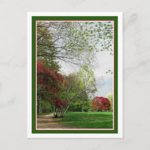 Carte Postale Sentier de marche du printemps