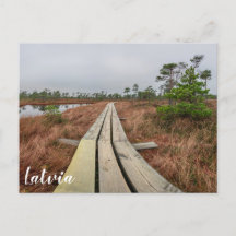 Sentier de randonnée dans le marécage