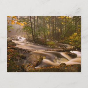 Carte Postale Sentier des Appalaches avec ruisseaux   Vermont
