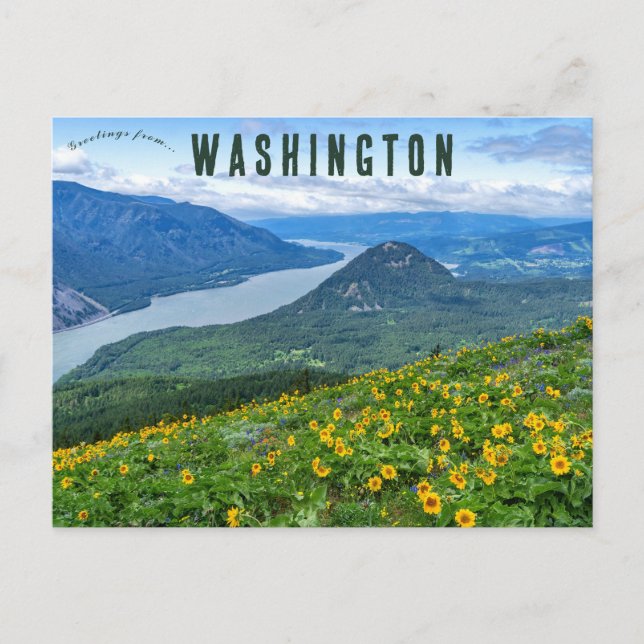 Carte Postale Sentier Dog Mountain Cook Washington États-Unis (Devant)