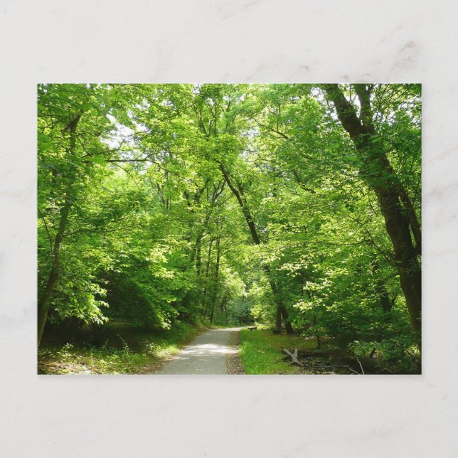 Carte Postale Sentier Grist Mill I (Devant)