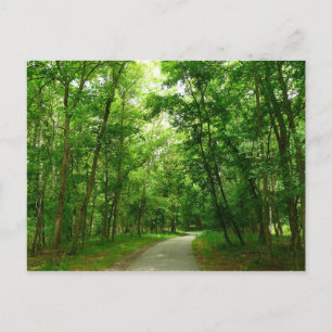 Carte Postale Sentier Grist Mill II