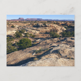 Carte Postale Sentier Pothole Point à Canyonlands National Park
