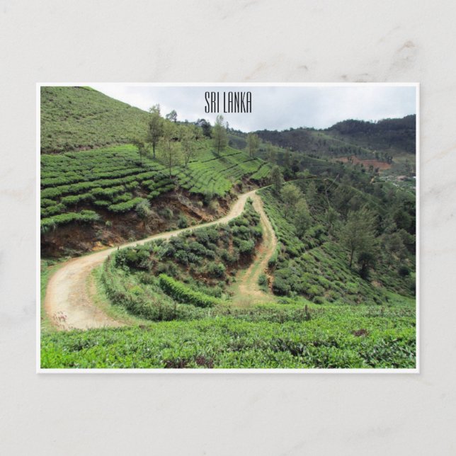 Carte Postale sentiers du thé sri lanka (Devant)