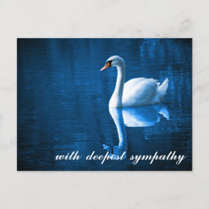 Carte Postale Sentimental Bleu Calme Eaux Cygne Sympathie