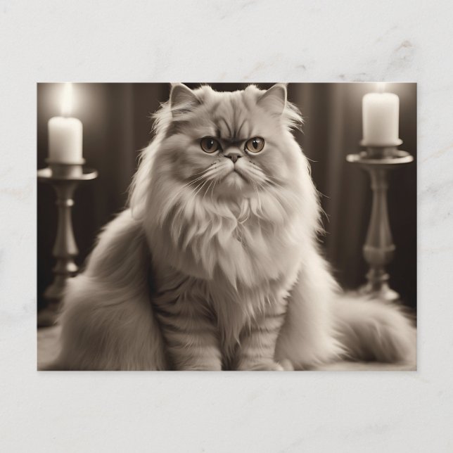 Carte Postale Sepia Perse Portrait de chat Élégant intemporel (Devant)