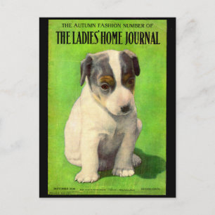 Carte Postale Septembre 1906 Ladies Home Journal couverture chio
