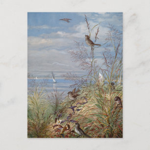 Carte Postale Septembre   Ponts Fidelia