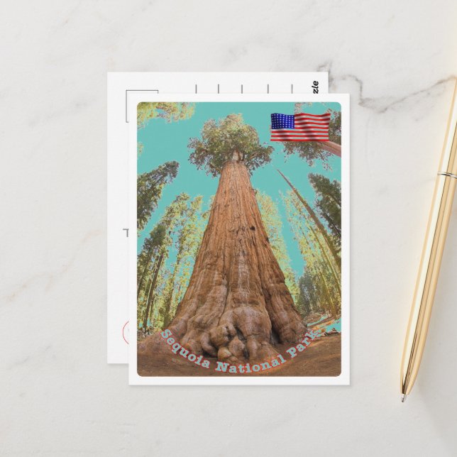 Carte Postale Sequoia - Arbre General Sherman - États-Unis - (Devant/Arrière en situation)