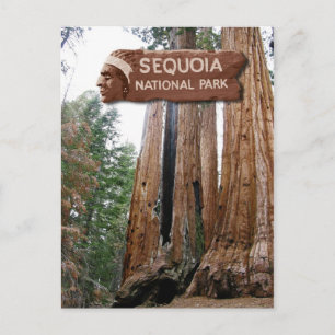 Carte Postale Séquoia géant, Parc national de Sequoia, CA
