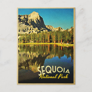 Carte Postale Sequoia National Park California