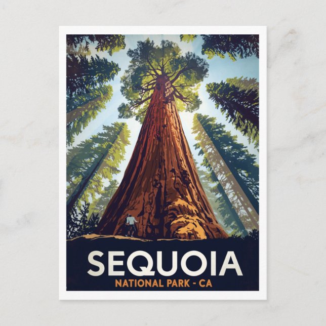 Carte Postale Sequoia National Park Giant Trees (Devant)