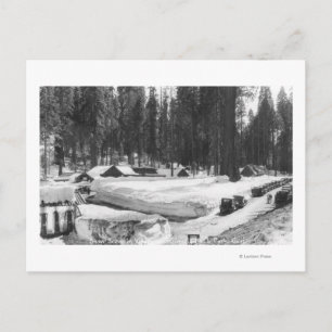 Carte Postale Sequoia National Park Snow Scene in Village