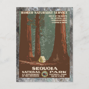 Carte Postale Sequoia National       ParkVintage voyage