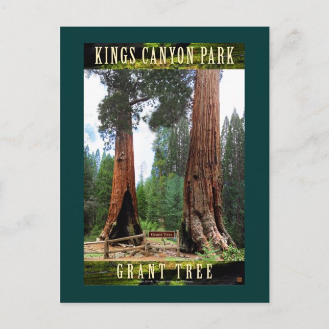 Carte Postale SEQUOIA NAT'L PARK-California-General Grant (Devant)