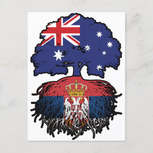 Carte Postale Serbie Serbe Australie racine des arbres