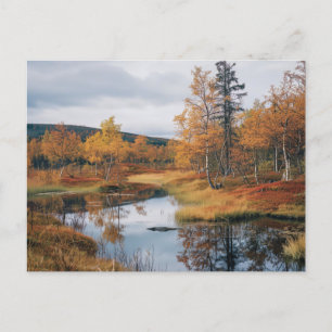 Carte Postale Sérénade d'automne Réflexions de Ruska finlandais