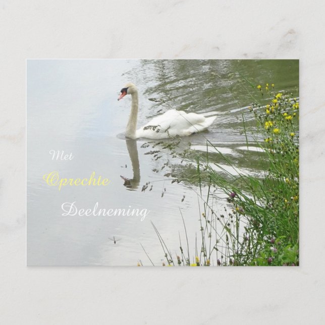 Carte postale Serene Swan & Dragonfly Sympathy (Devant)