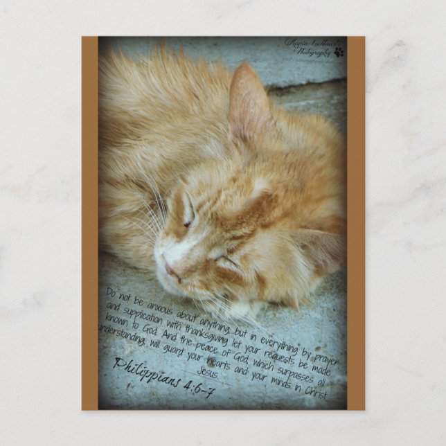 Carte Postale Sérénité (Devant)