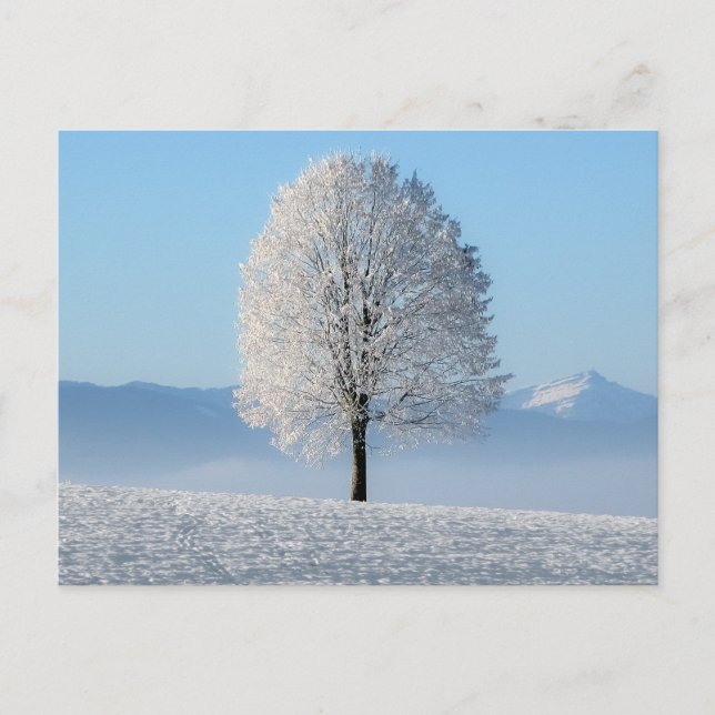 Carte Postale Sérénité Prière Arbre d'hiver (Devant)