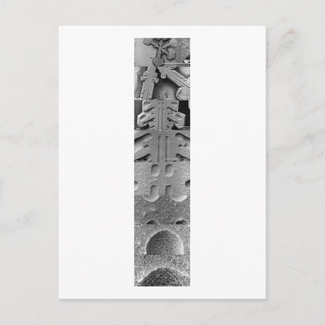 Carte Postale Série d'agrandissement de flocon de neige (Devant)