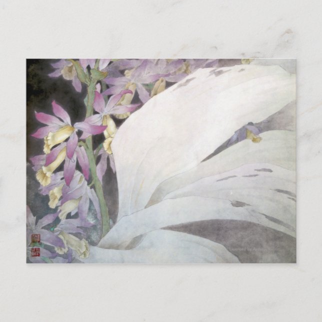 Carte Postale Série de fleurs II- Phaius (Devant)