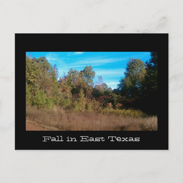 Carte Postale Série Texas (Devant)