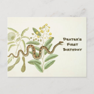 Carte Postale Serpent