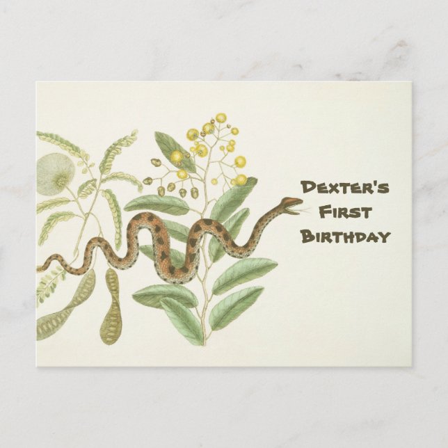 Carte Postale Serpent (Devant)