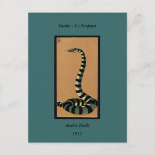 Carte Postale Serpent - Antiquaire, Colorée Illustration du livr