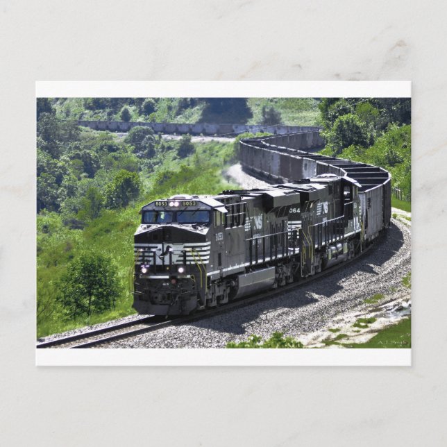 Carte Postale Serpent en acier (Devant)