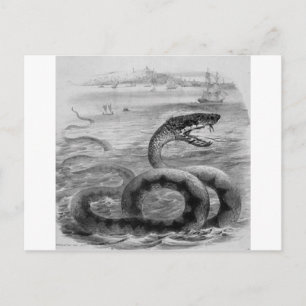 Carte Postale Serpent/Serpent de mer
