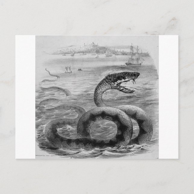Carte Postale Serpent/Serpent de mer (Devant)