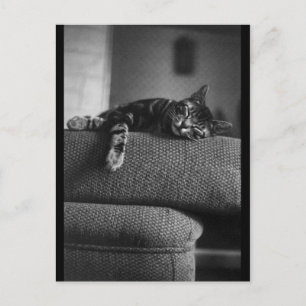 Carte Postale Services de tournage