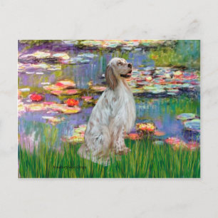 Carte Postale Setter Anglais 1 - Lys 2