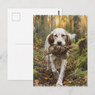 Carte Postale Setter anglais, chasse à la bécasse 