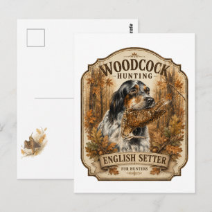 Carte Postale Setter anglais, chasse à la bécasse