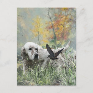 Carte Postale Setter anglais , saison de chasse à la bécasse , A