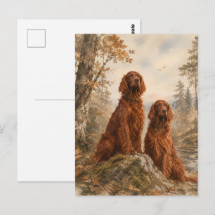 Carte Postale Setter irlandais