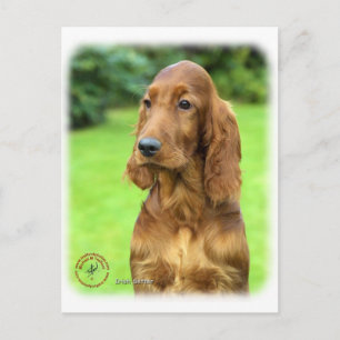 Carte Postale Setter irlandais 9T004D-349
