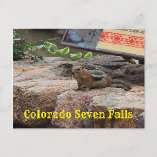 Carte Postale Seven Falls Colorado G Squirrel closeuseuseuse Car