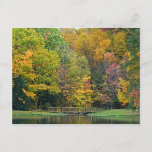 Carte Postale Seven Springs Fall Bridge II Autumn Paysage