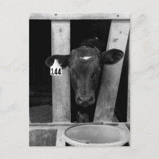 Carte Postale Sevré